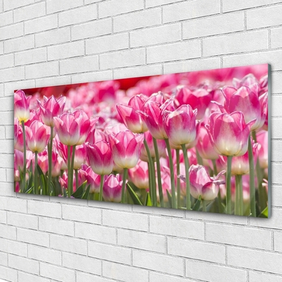 Glasbild aus Plexiglas® Tulpen Pflanzen