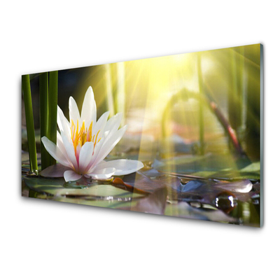 Glasbild aus Plexiglas® Blumen Wasser Pflanzen