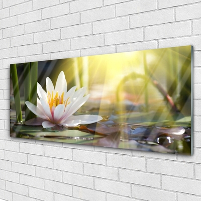 Glasbild aus Plexiglas® Blumen Wasser Pflanzen