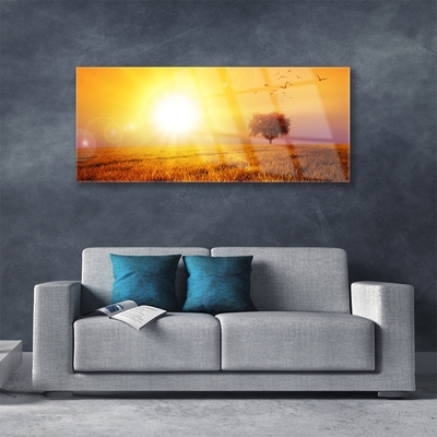 Glasbild aus Plexiglas® Sonne Wiese Landschaft