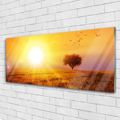 Glasbild aus Plexiglas® Sonne Wiese Landschaft