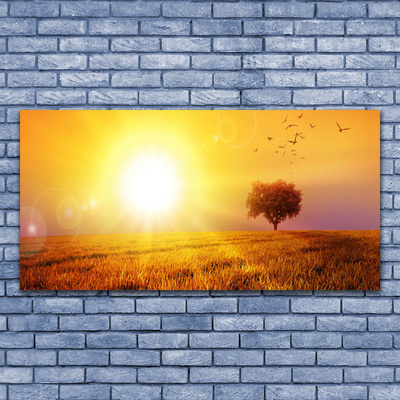 Glasbild aus Plexiglas® Sonne Wiese Landschaft