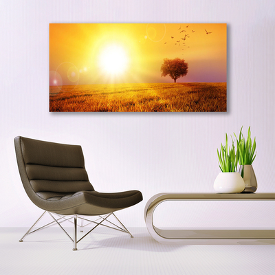 Glasbild aus Plexiglas® Sonne Wiese Landschaft