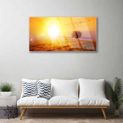 Glasbild aus Plexiglas® Sonne Wiese Landschaft