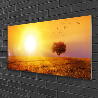 Glasbild aus Plexiglas® Sonne Wiese Landschaft