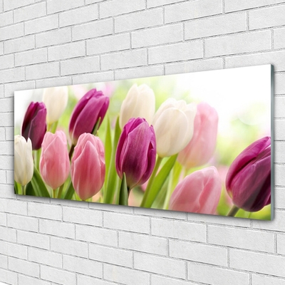 Glasbild aus Plexiglas® Tulpen Pflanzen