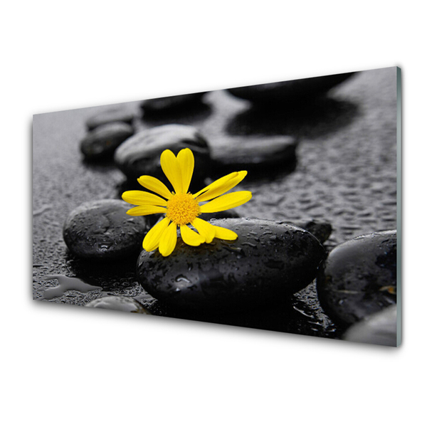 Glasbild aus Plexiglas® Blume Steine Kunst