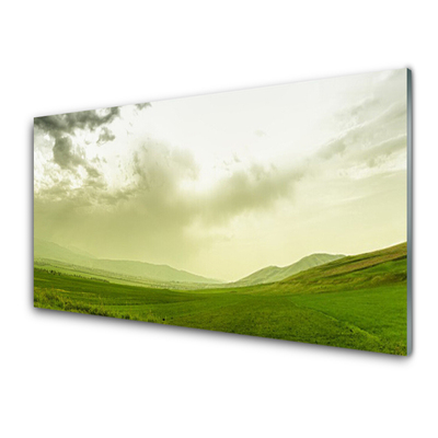 Glasbild aus Plexiglas® Wiese Natur