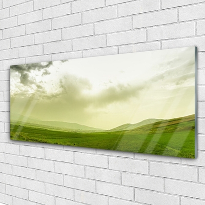 Glasbild aus Plexiglas® Wiese Natur