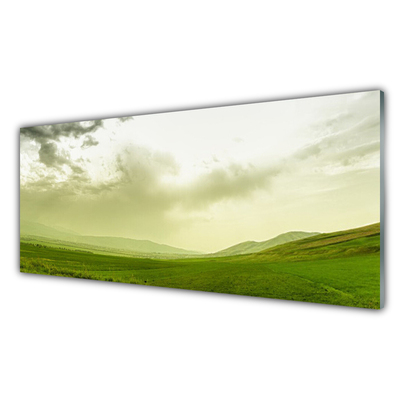 Glasbild aus Plexiglas® Wiese Natur