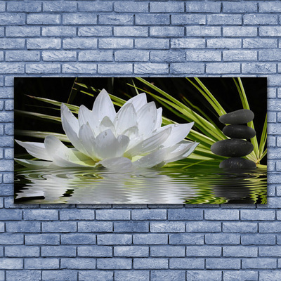 Glasbild aus Plexiglas® Blume Steine Wasser Pflanzen