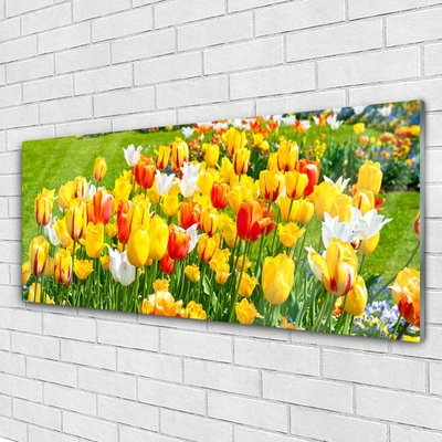 Glasbild aus Plexiglas® Tulpen Pflanzen