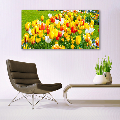 Glasbild aus Plexiglas® Tulpen Pflanzen