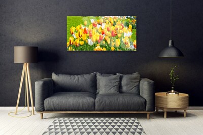 Glasbild aus Plexiglas® Tulpen Pflanzen