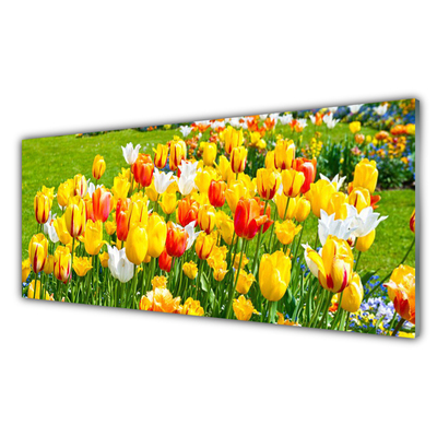 Glasbild aus Plexiglas® Tulpen Pflanzen