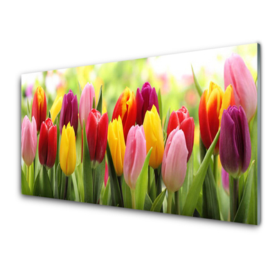 Glasbild aus Plexiglas® Tulpen Pflanzen