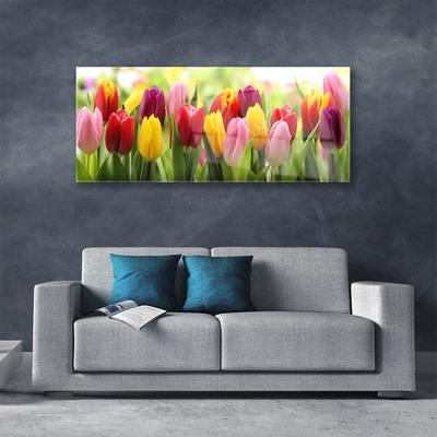 Glasbild aus Plexiglas® Tulpen Pflanzen