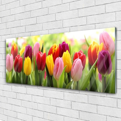 Glasbild aus Plexiglas® Tulpen Pflanzen