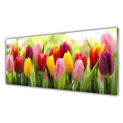 Glasbild aus Plexiglas® Tulpen Pflanzen