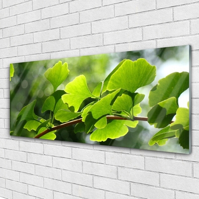 Glasbild aus Plexiglas® Zweig Blätter Pflanzen