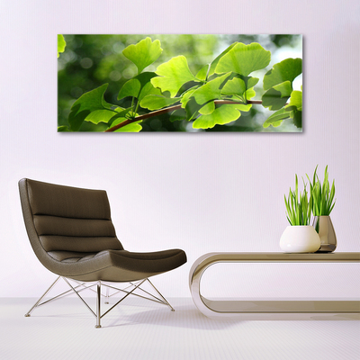 Glasbild aus Plexiglas® Zweig Blätter Pflanzen