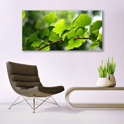Glasbild aus Plexiglas® Zweig Blätter Pflanzen