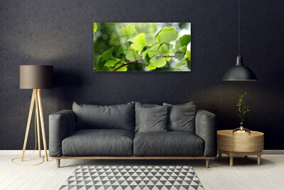 Glasbild aus Plexiglas® Zweig Blätter Pflanzen