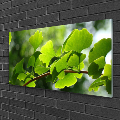Glasbild aus Plexiglas® Zweig Blätter Pflanzen
