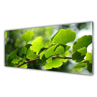 Glasbild aus Plexiglas® Zweig Blätter Pflanzen