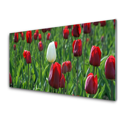 Glasbild aus Plexiglas® Tulpen Pflanzen