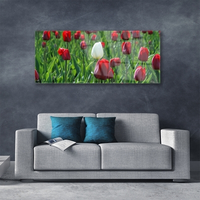 Glasbild aus Plexiglas® Tulpen Pflanzen