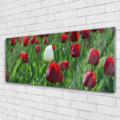 Glasbild aus Plexiglas® Tulpen Pflanzen