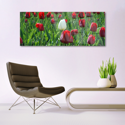 Glasbild aus Plexiglas® Tulpen Pflanzen