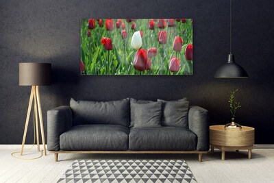 Glasbild aus Plexiglas® Tulpen Pflanzen