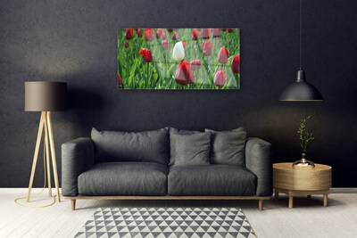 Glasbild aus Plexiglas® Tulpen Pflanzen