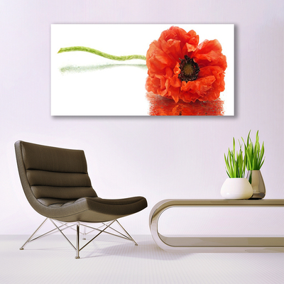 Glasbild aus Plexiglas® Blume Pflanzen