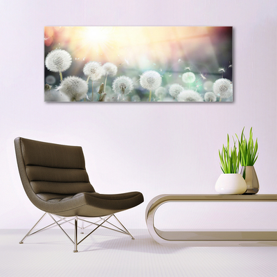 Glasbild aus Plexiglas® Pusteblume Pflanzen