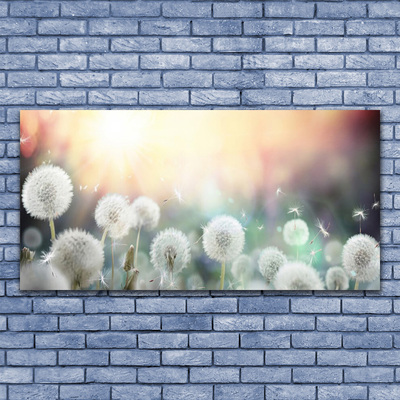 Glasbild aus Plexiglas® Pusteblume Pflanzen