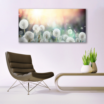 Glasbild aus Plexiglas® Pusteblume Pflanzen