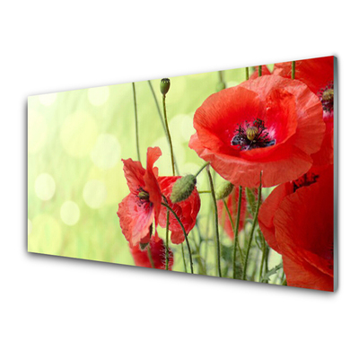 Glasbild aus Plexiglas® Mohnblumen Pflanzen