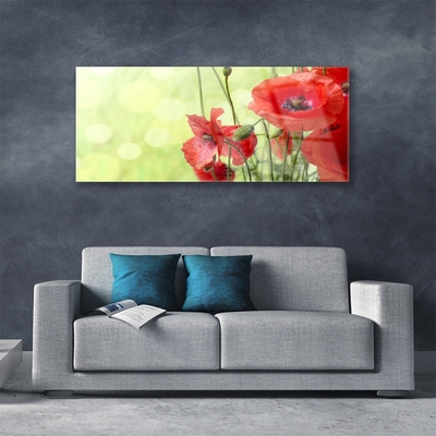 Glasbild aus Plexiglas® Mohnblumen Pflanzen