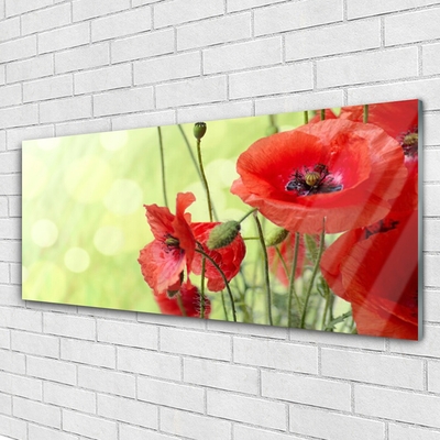 Glasbild aus Plexiglas® Mohnblumen Pflanzen