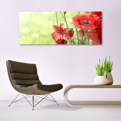 Glasbild aus Plexiglas® Mohnblumen Pflanzen