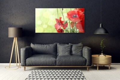 Glasbild aus Plexiglas® Mohnblumen Pflanzen