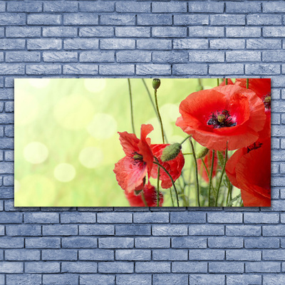 Glasbild aus Plexiglas® Mohnblumen Pflanzen