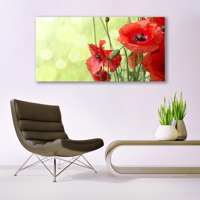 Glasbild aus Plexiglas® Mohnblumen Pflanzen