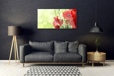 Glasbild aus Plexiglas® Mohnblumen Pflanzen