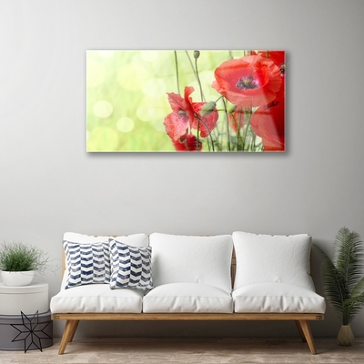 Glasbild aus Plexiglas® Mohnblumen Pflanzen