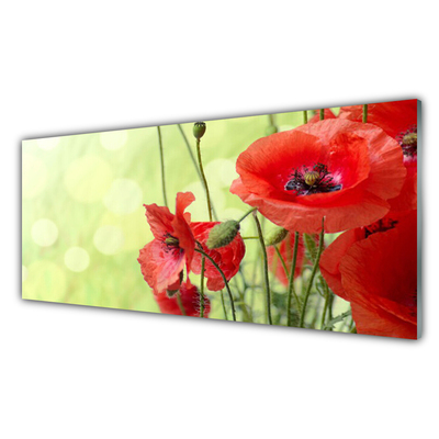 Glasbild aus Plexiglas® Mohnblumen Pflanzen