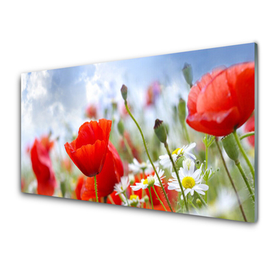 Glasbild aus Plexiglas® Mohnblumen Gänseblümchen Pflanzen